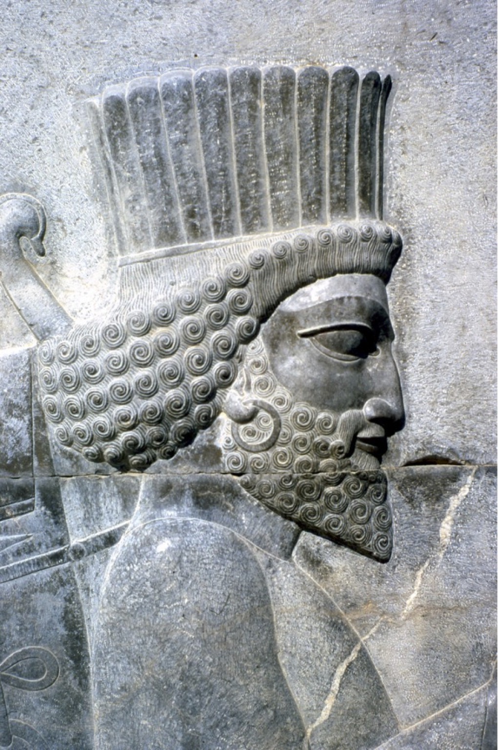 Persepolis